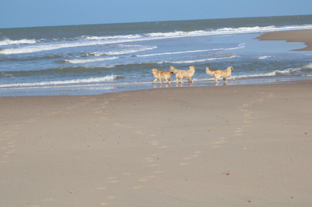 Balade à la plage